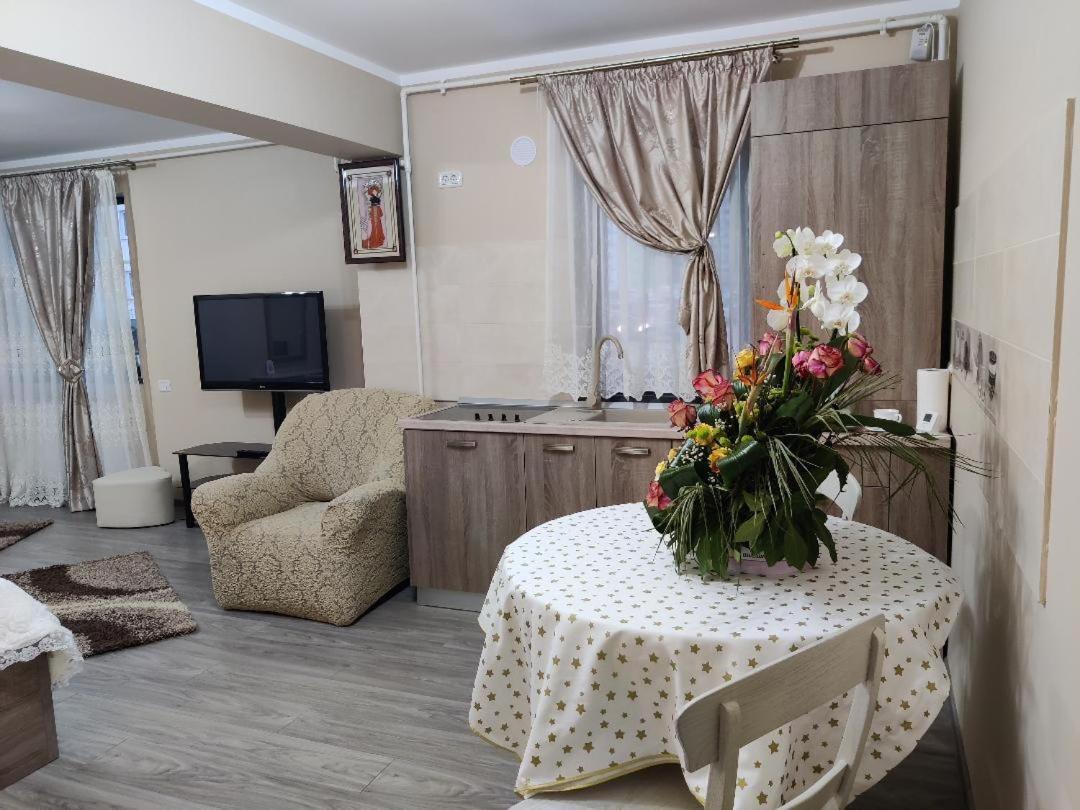 Corressy Studio Braşov Exteriör bild